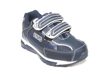 STEPS-NS0376